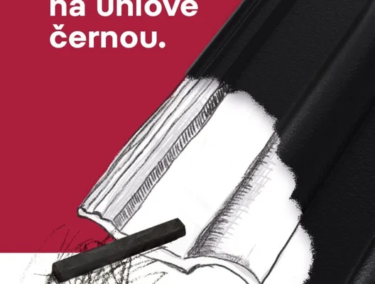 Střešní taška na přání: zákazníci si řekli o uhlově černou